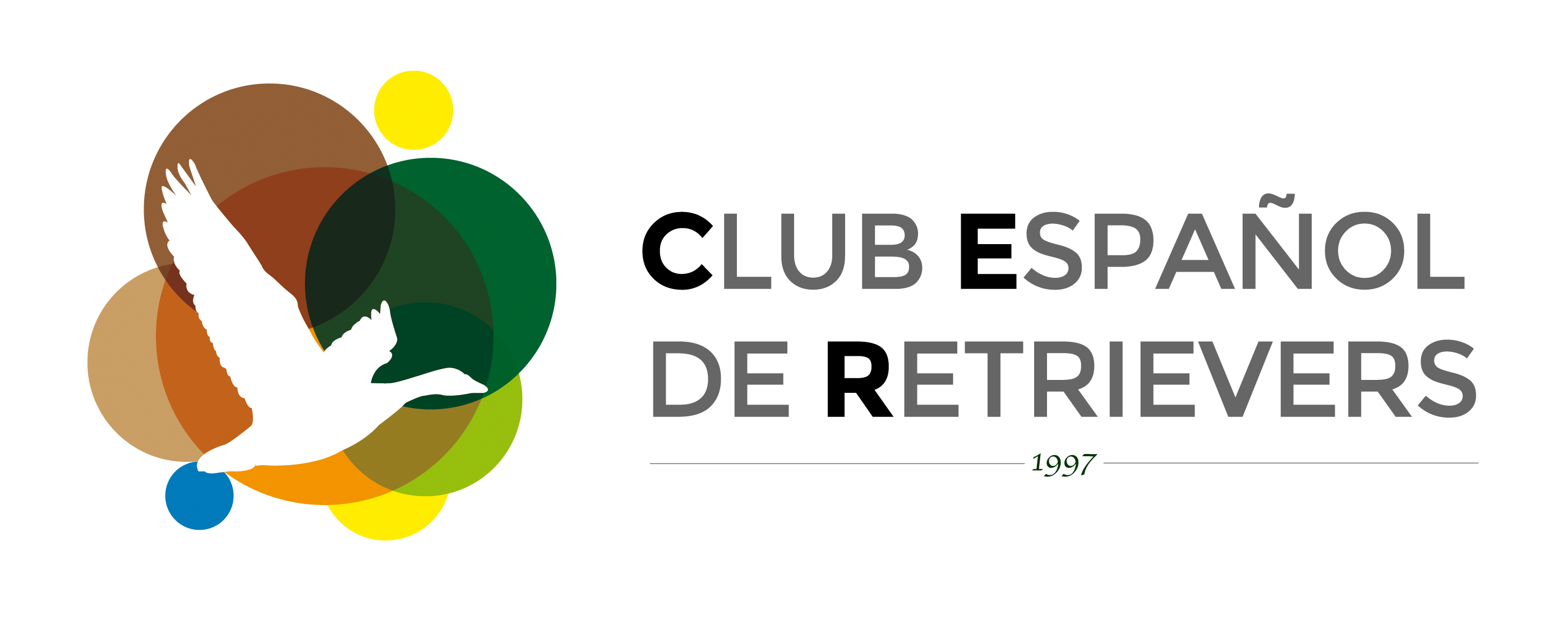 Club-Espanol-de-Retrievers